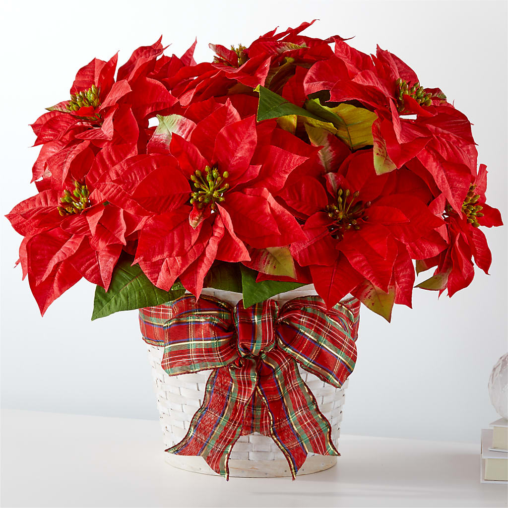 Happiest Holidays Poinsettia – Burns Florist, Hanceville AL