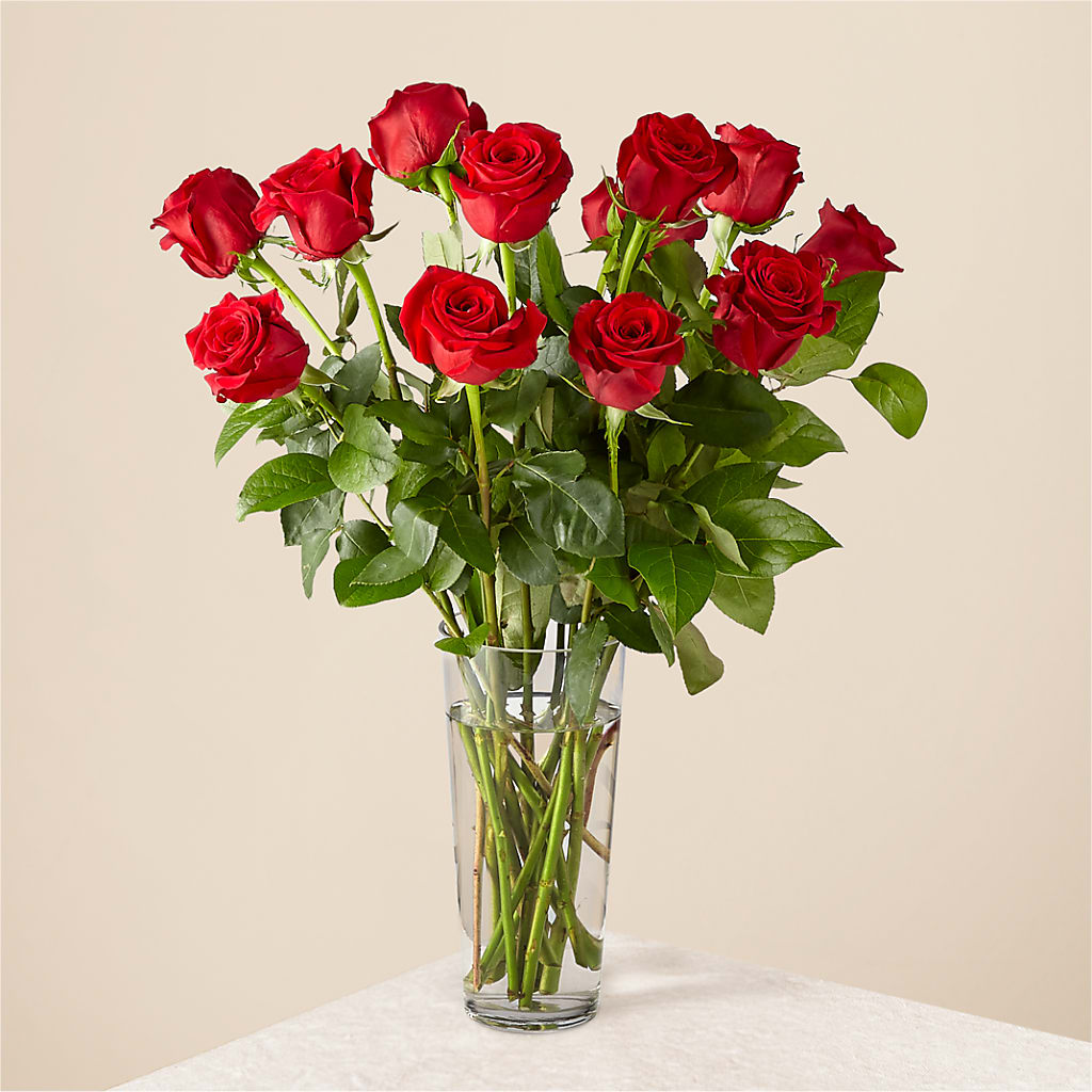 Long Stem Red Rose Bouquet – Burns Florist, Hanceville AL