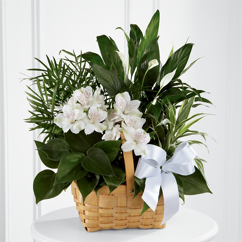 Peace & Serenity Dishgarden – Burns Florist, Hanceville AL