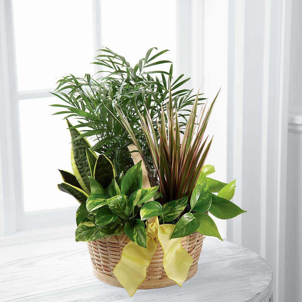 French Garden – Burns Florist, Hanceville AL