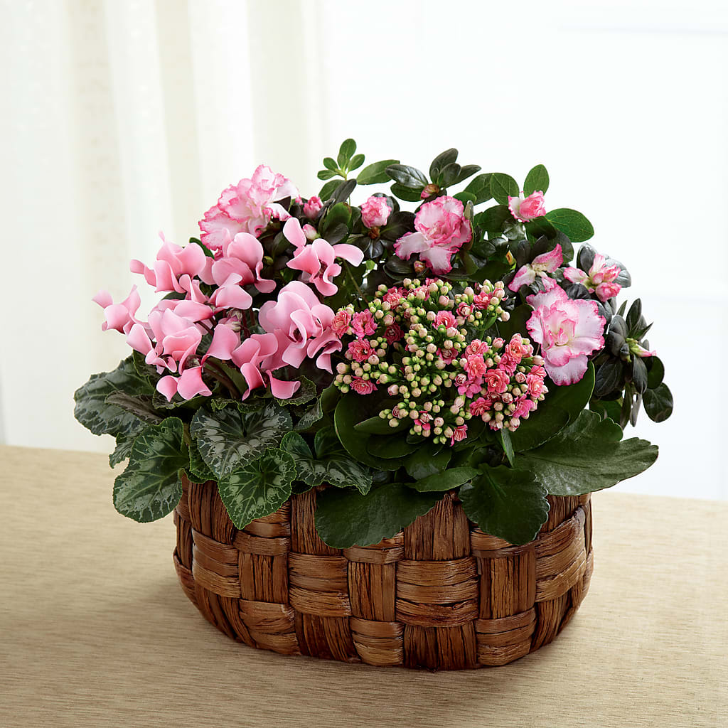 Pink Assortment – Burns Florist, Hanceville AL