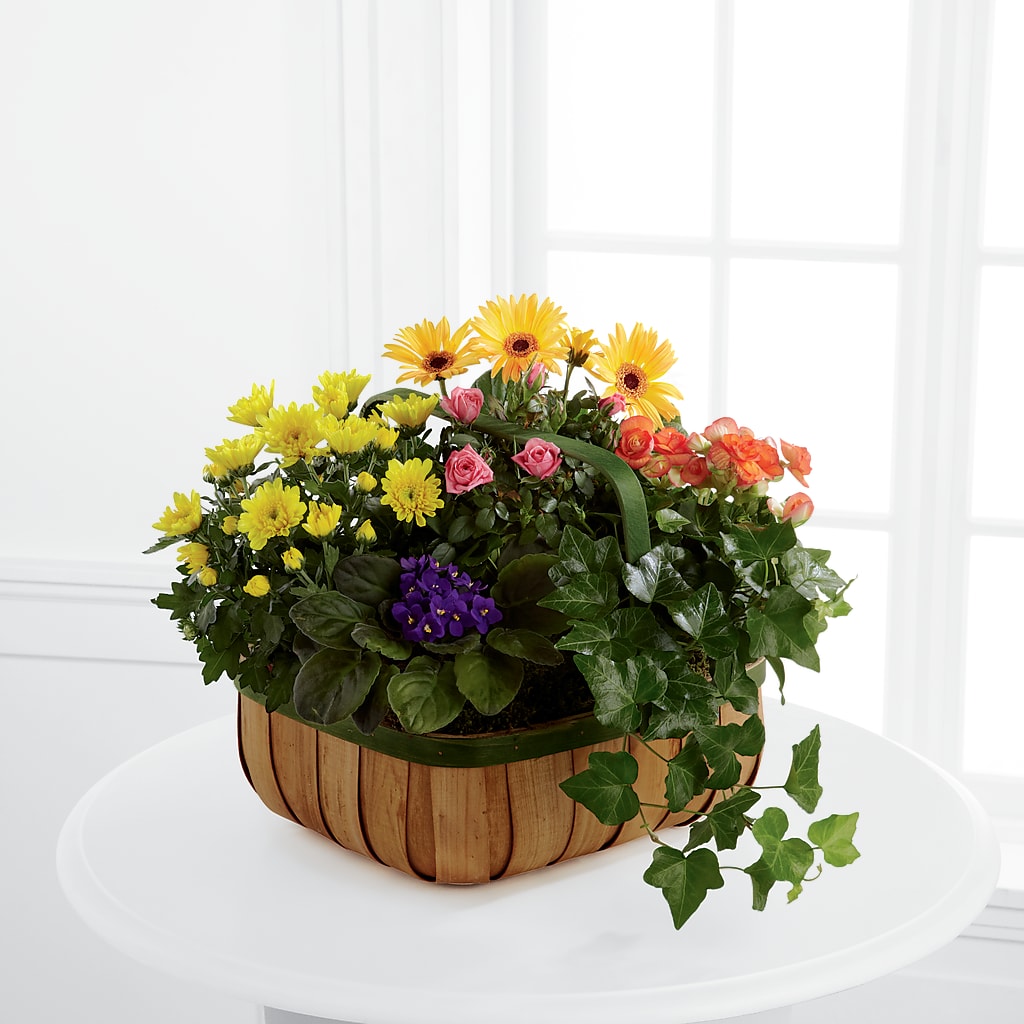 Gentle Blossoms Basket – Burns Florist, Hanceville AL