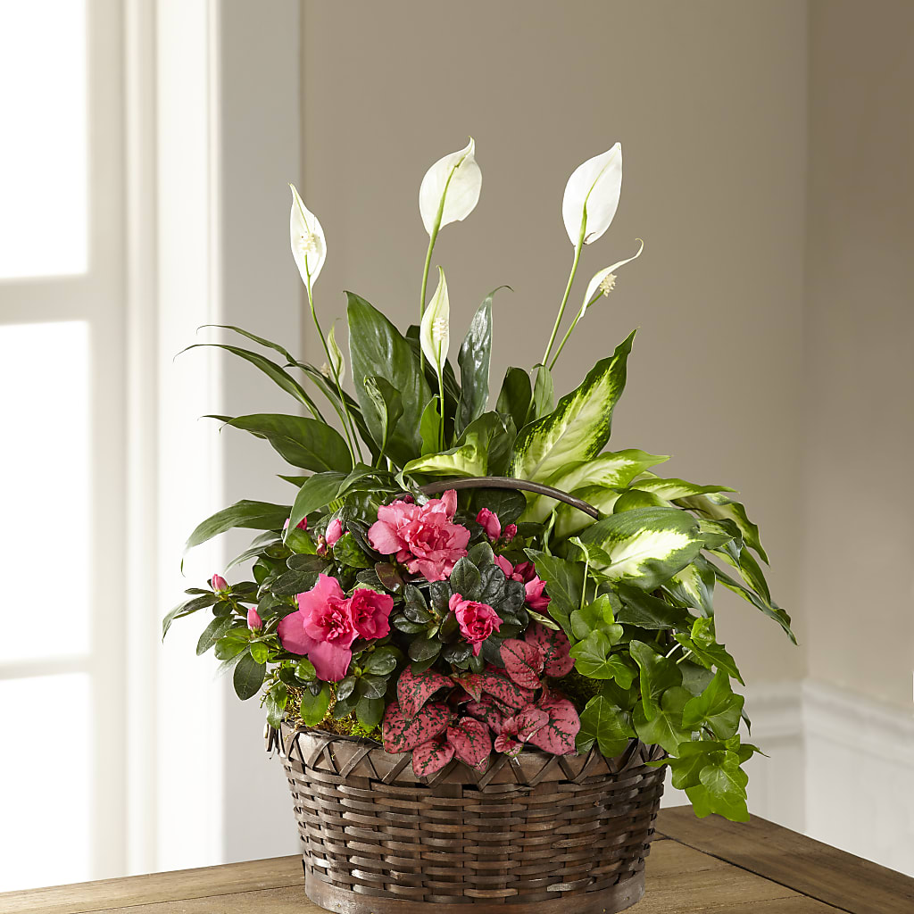 Dream in Pink Dishgarden – Burns Florist, Hanceville AL