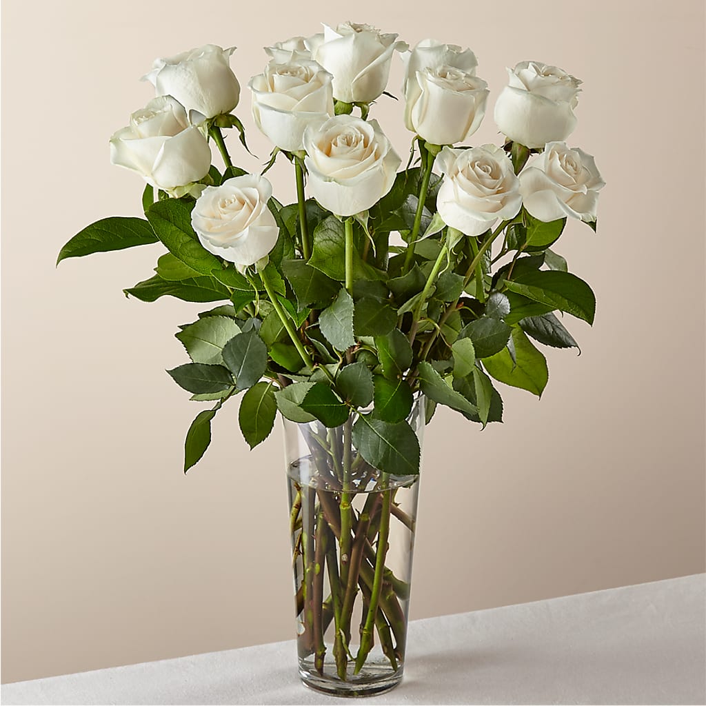Long Stem White Rose Bouquet – Burns Florist, Hanceville AL