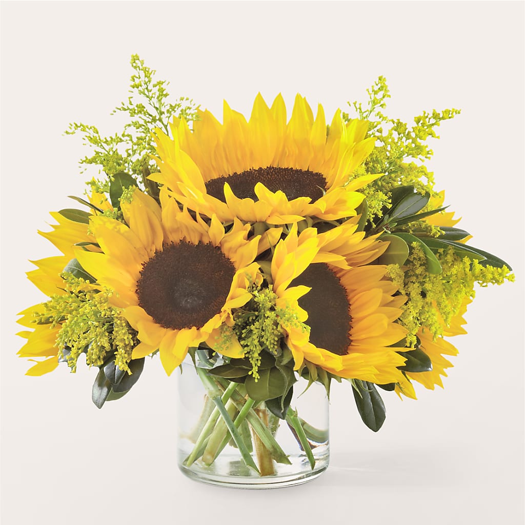 Beaming Sunflower Bouquet – Burns Florist, Hanceville AL