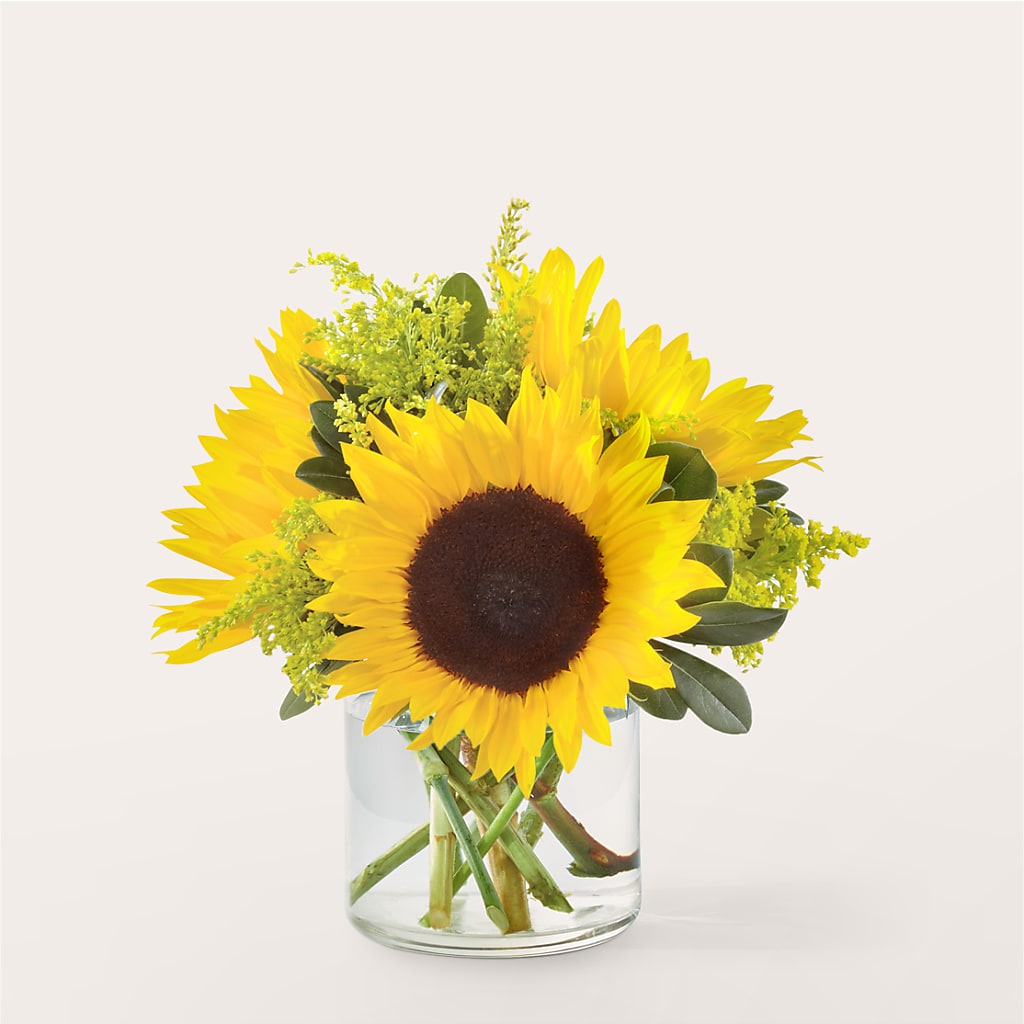 Beaming Sunflower Bouquet – Burns Florist, Hanceville AL