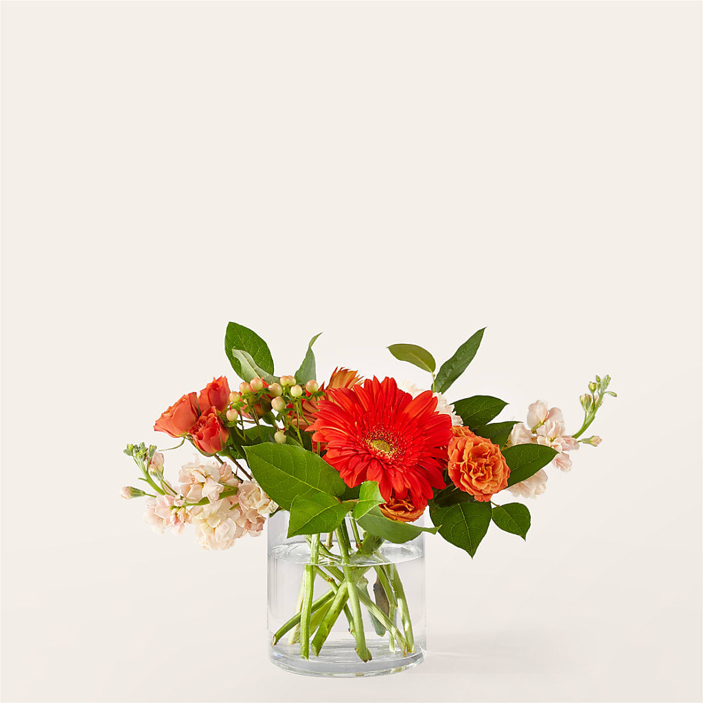 Paloma Please Bouquet – Burns Florist, Hanceville AL