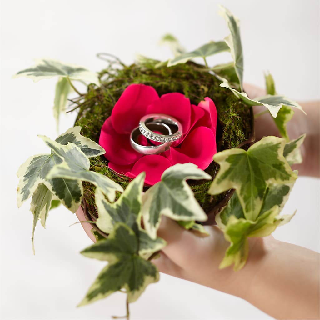 Lila Rose Ring Nest – Burns Florist, Hanceville AL