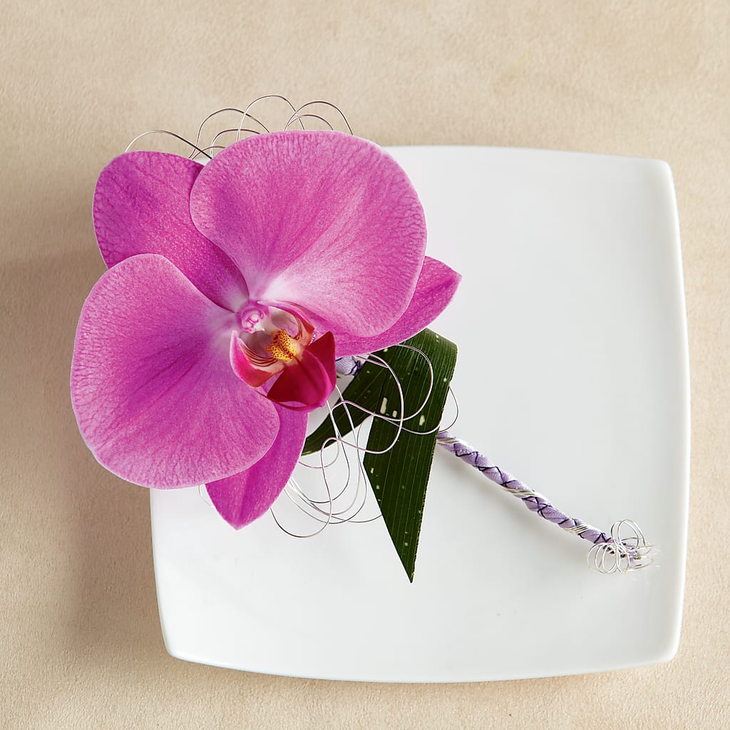 Glorious Boutonniere – Burns Florist, Hanceville AL