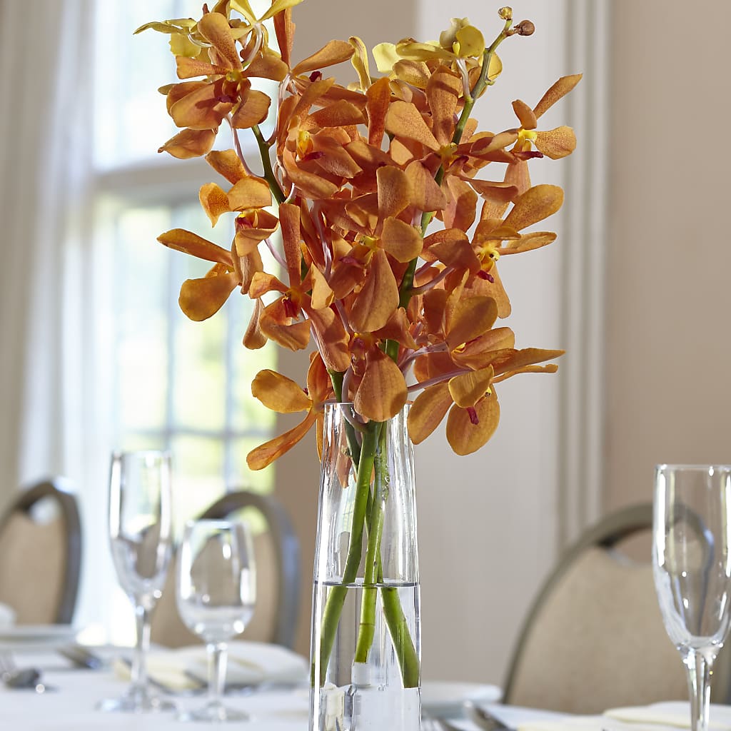 Orange Mokara Bud Vase – Burns Florist, Hanceville AL