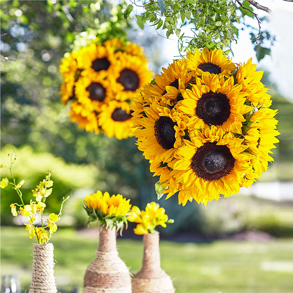 Sublime Garden Hanging Arrangement – Burns Florist, Hanceville AL