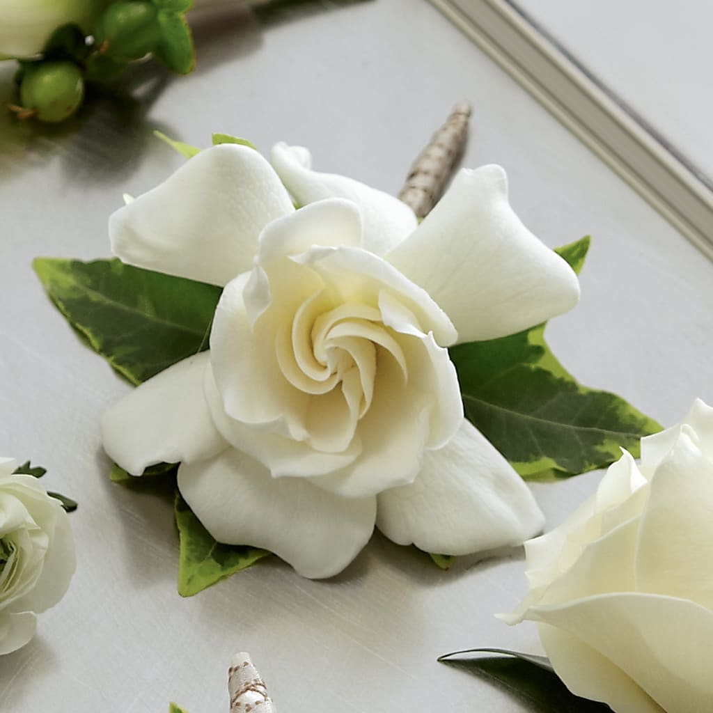Gardenia Boutonniere – Burns Florist, Hanceville AL