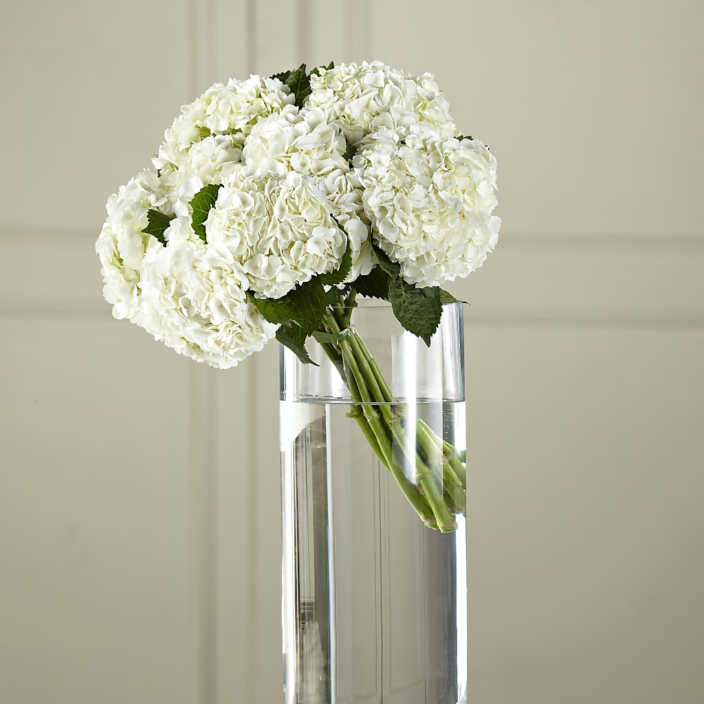 White Hydrangea Hand-Tied Bouquet – Burns Florist, Hanceville AL