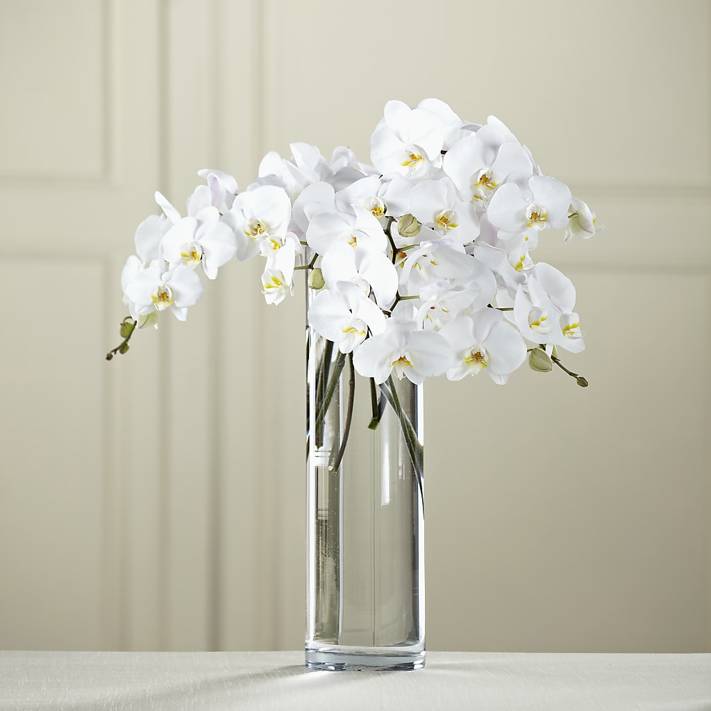 White Phalaenopsis Bouquet – Burns Florist, Hanceville AL