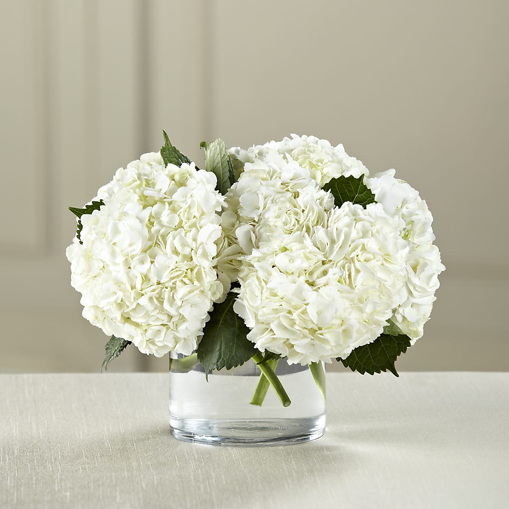 White Hydrangea Bouquet – Burns Florist, Hanceville AL