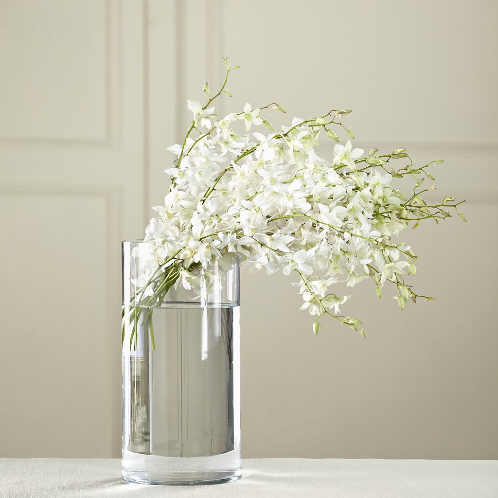 White Dendrobium Bouquet – Burns Florist, Hanceville AL