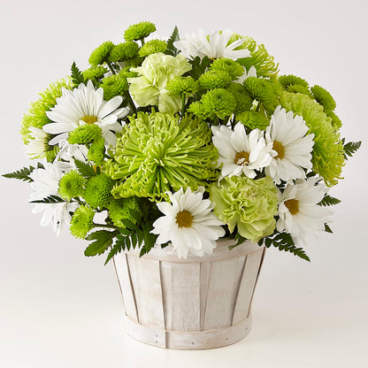 Lucky Charm Basket (Standard) –  Burns Florist, Hanceville AL