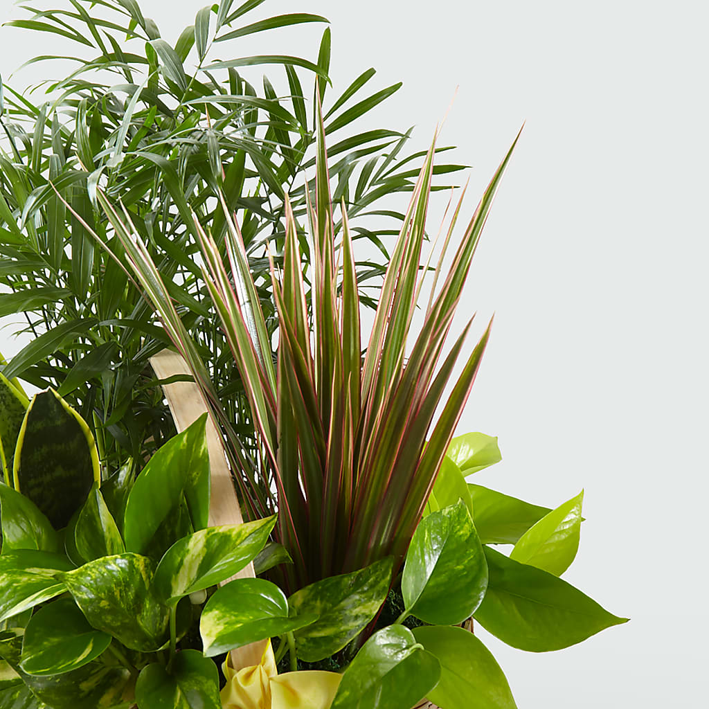French Garden –  Burns Florist, Hanceville AL