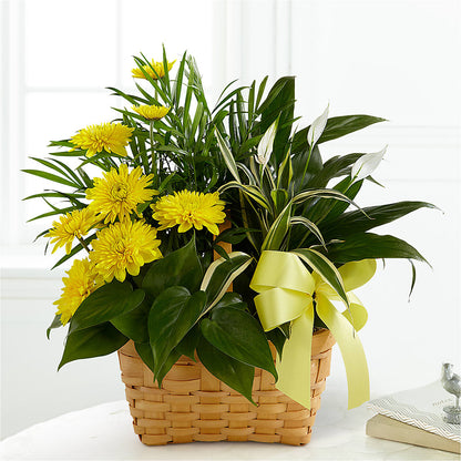 Loving Light Dishgarden –  Burns Florist, Hanceville AL