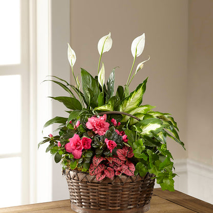 Dream in Pink Dishgarden –  Burns Florist, Hanceville AL