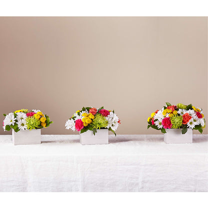 Sorbet Bouquet –  Burns Florist, Hanceville AL