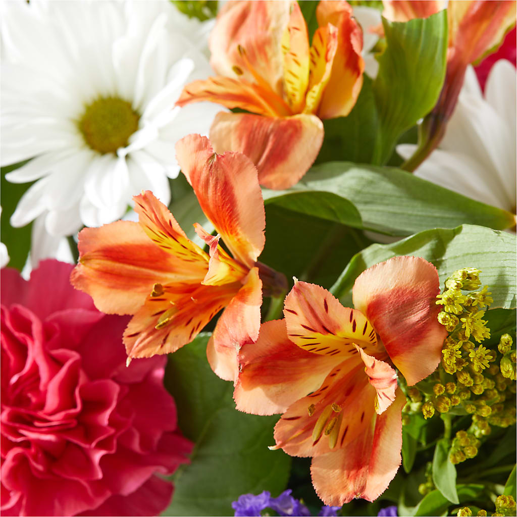 Oopsie Daisy Box Bouquet –  Burns Florist, Hanceville AL