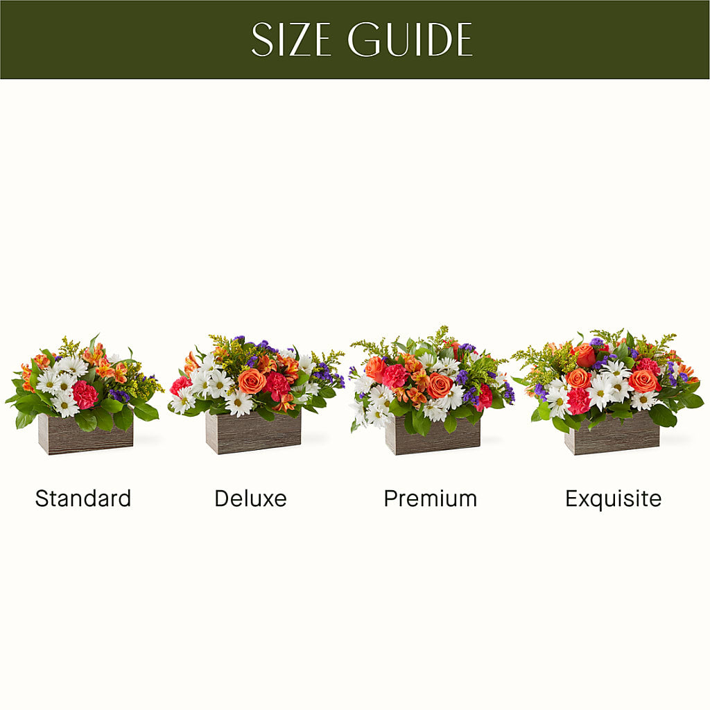 Oopsie Daisy Box Bouquet –  Burns Florist, Hanceville AL