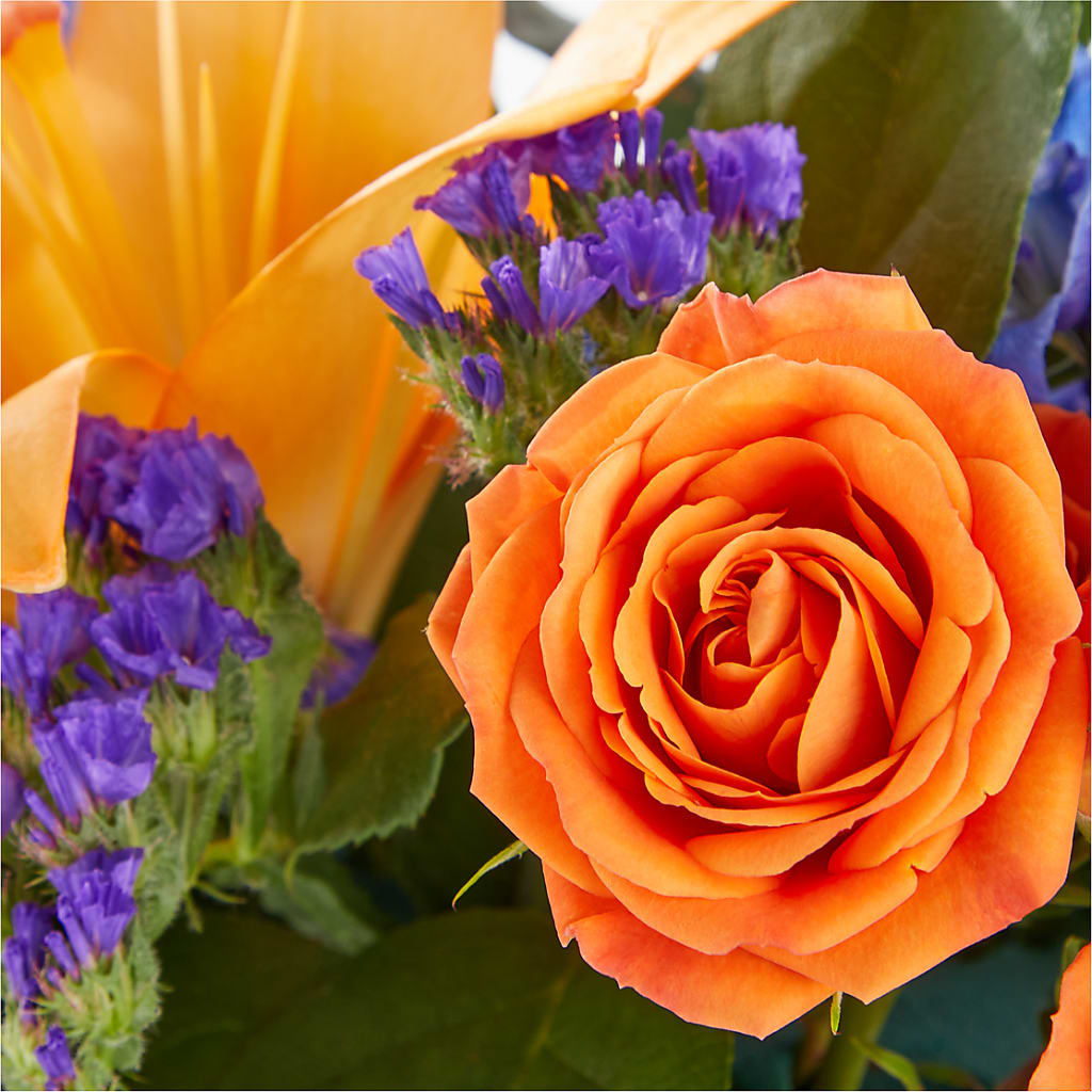 Radiant Citrus Box Bouquet –  Burns Florist, Hanceville AL