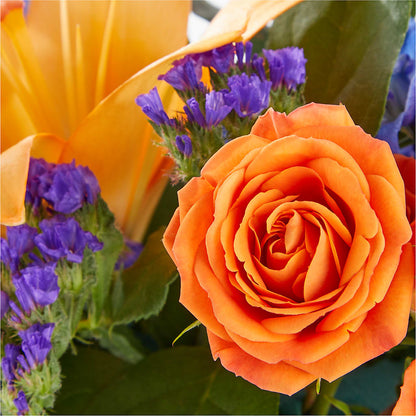 Radiant Citrus Box Bouquet –  Burns Florist, Hanceville AL