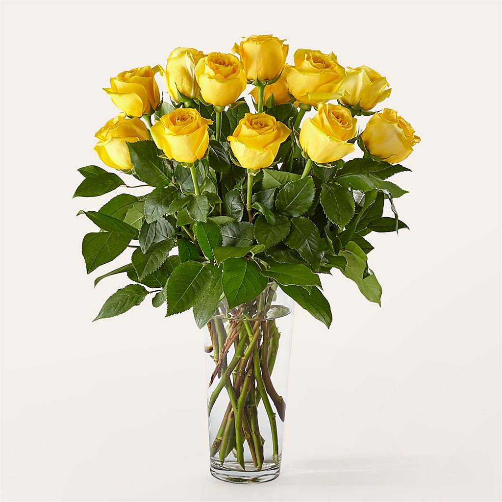 Long Stem Yellow Rose Bouquet –  Burns Florist, Hanceville AL
