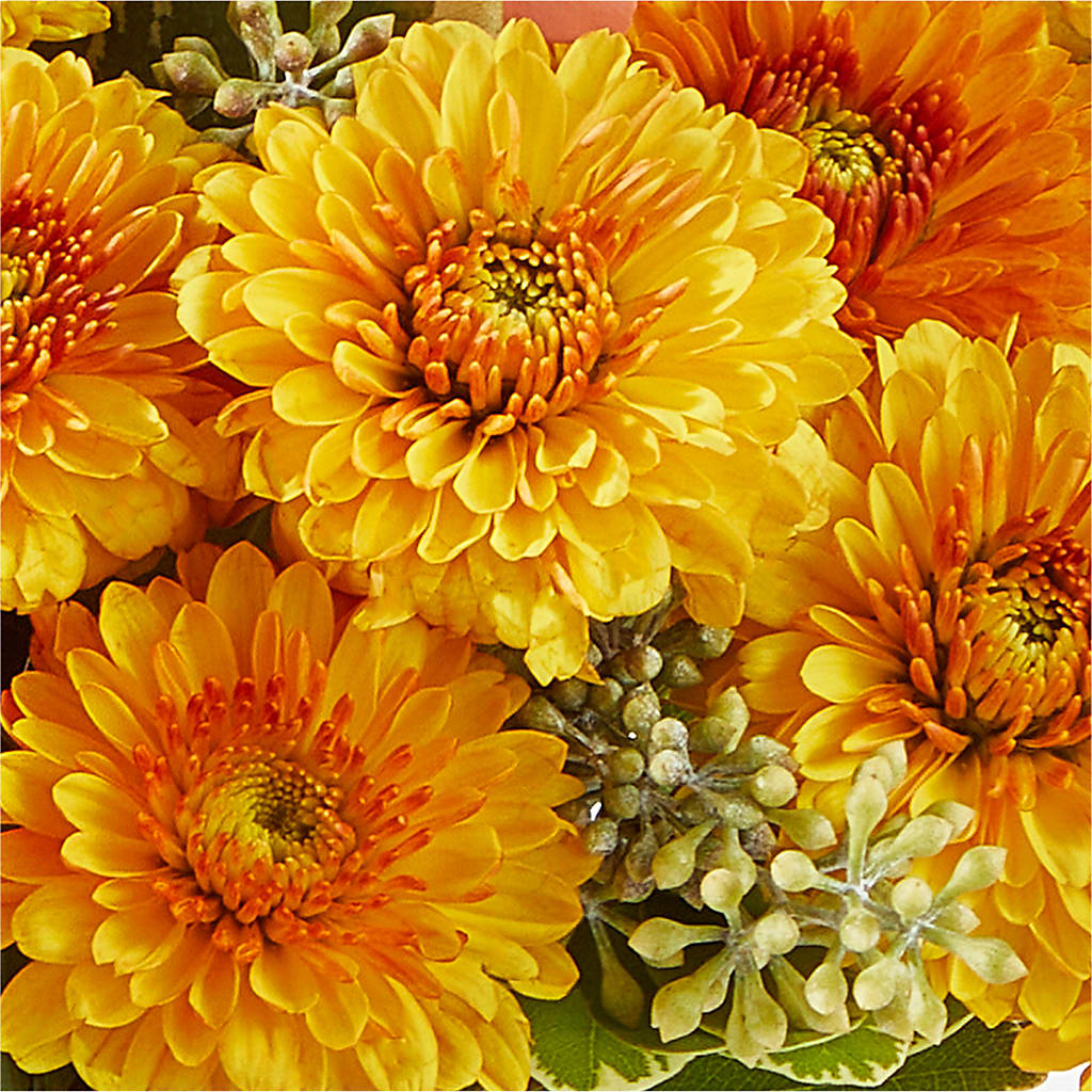 Peachy Pumpkin –  Burns Florist, Hanceville AL