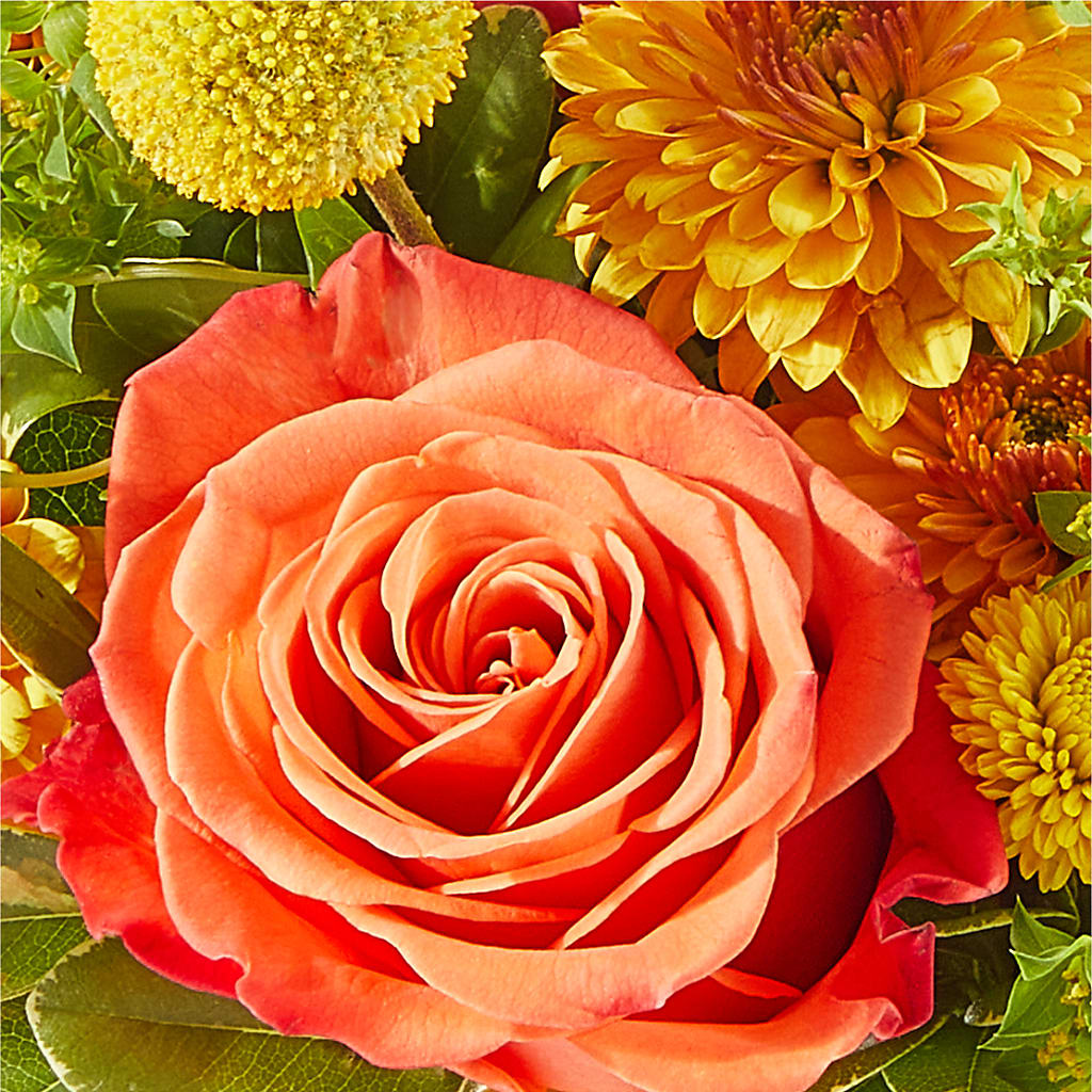 Gourdgeous Pumpkin –  Burns Florist, Hanceville AL