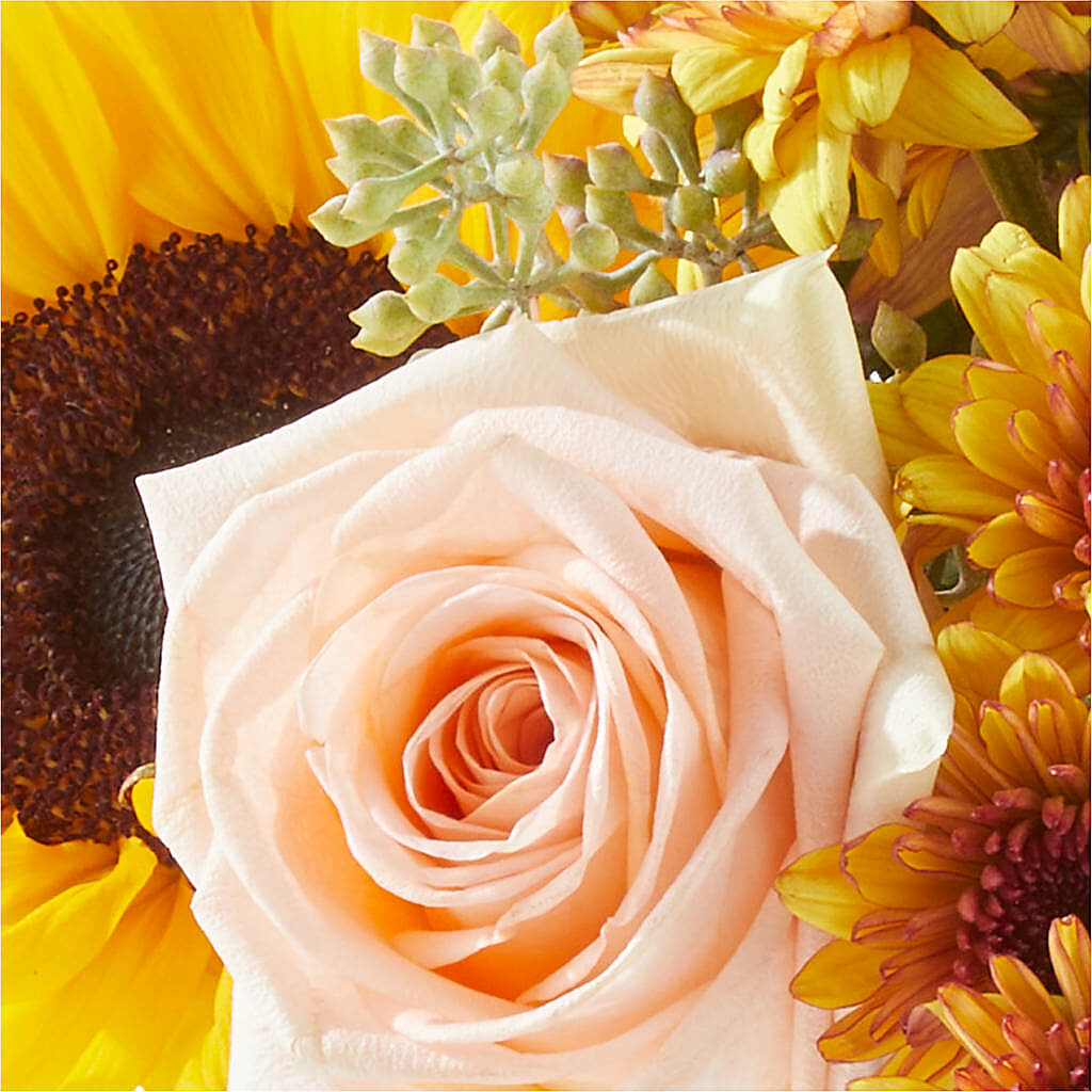 Pumpkin to Talk About Bouquet –  Burns Florist, Hanceville AL