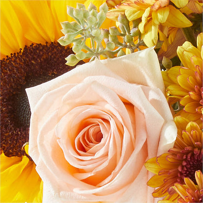 Pumpkin to Talk About Bouquet –  Burns Florist, Hanceville AL