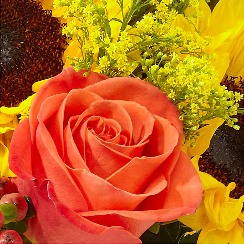 Pick of the Patch Pumpkin Bouquet –  Burns Florist, Hanceville AL