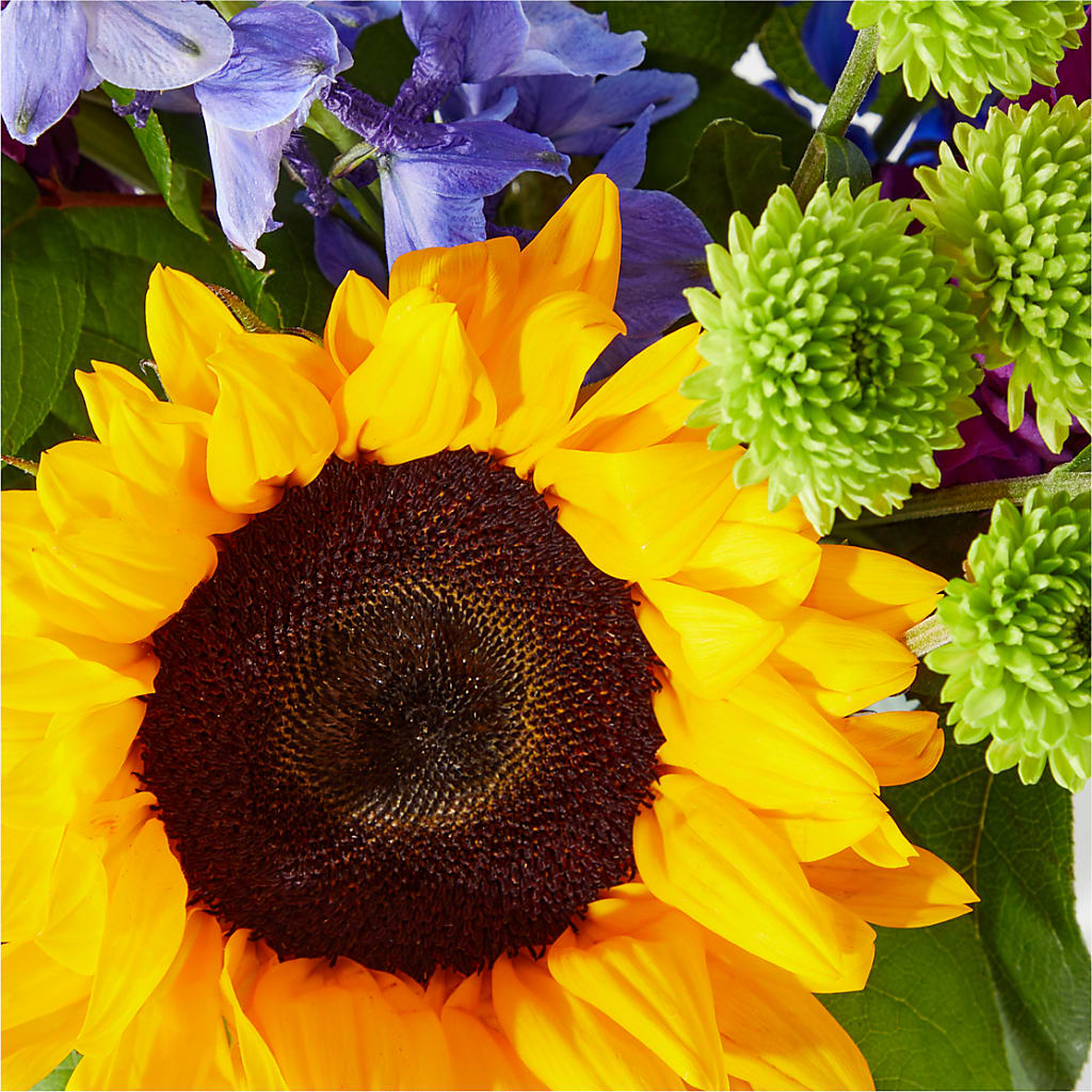 Catching Rays Bouquet –  Burns Florist, Hanceville AL