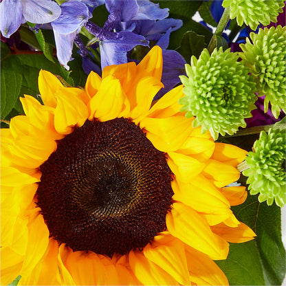 Catching Rays Bouquet –  Burns Florist, Hanceville AL