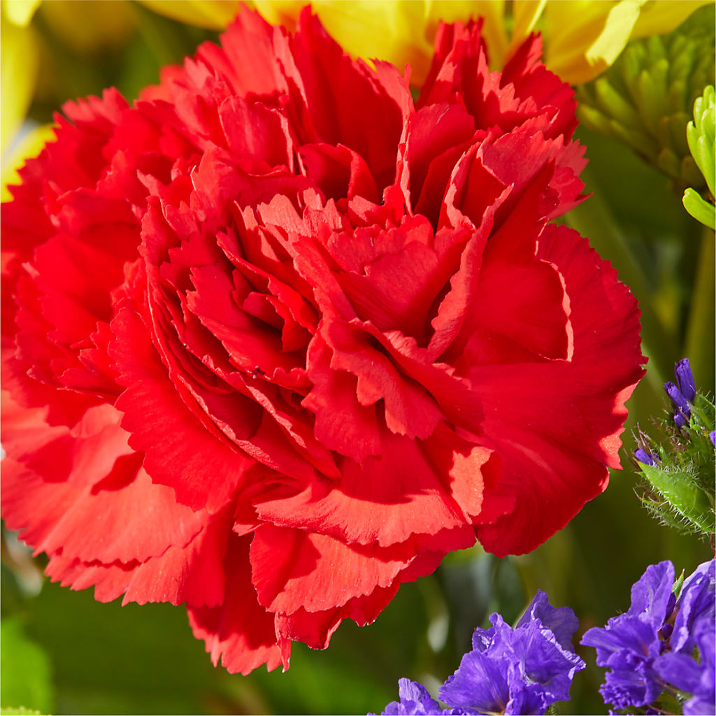Brighter Days Bouquet –  Burns Florist, Hanceville AL
