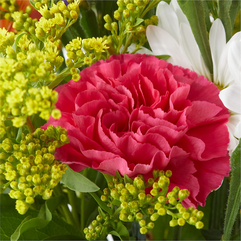 Oopsie Daisy Bouquet –  Burns Florist, Hanceville AL