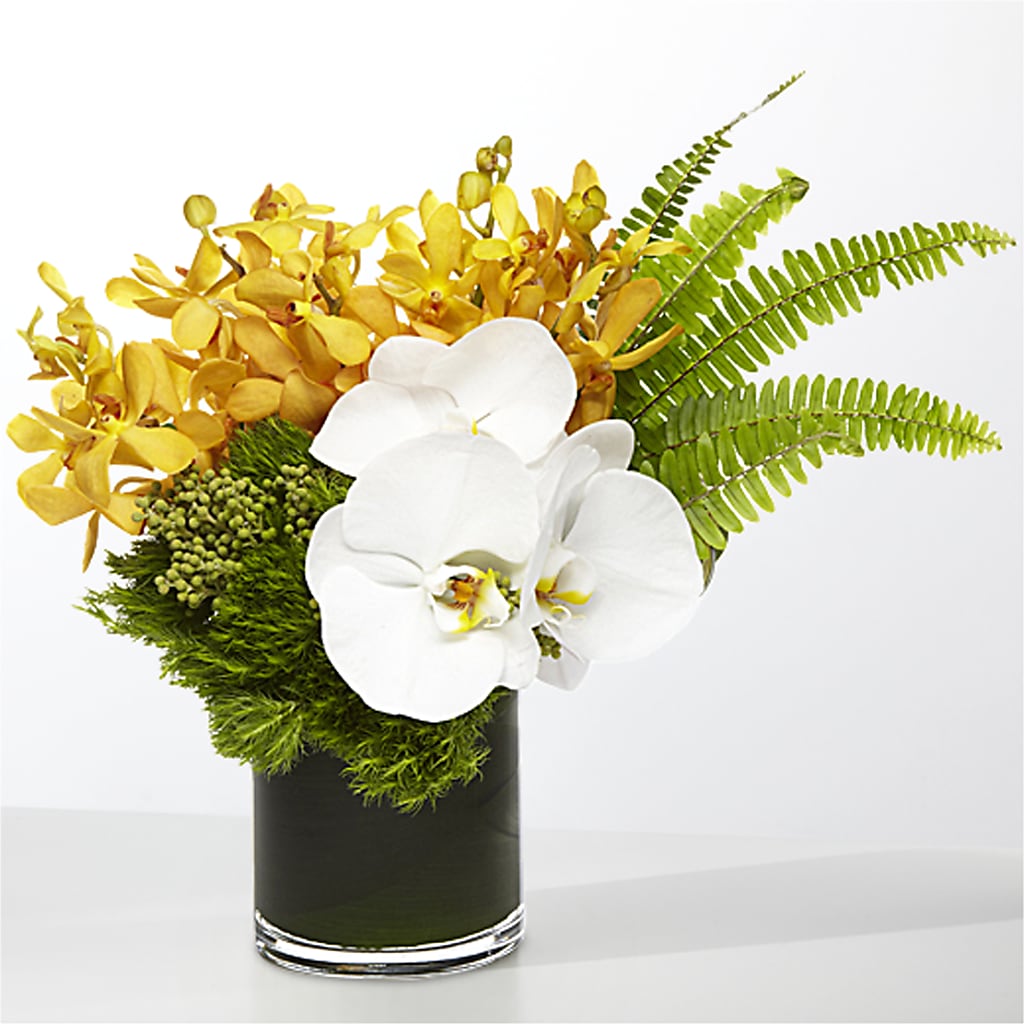 The Tropics –  Burns Florist, Hanceville AL
