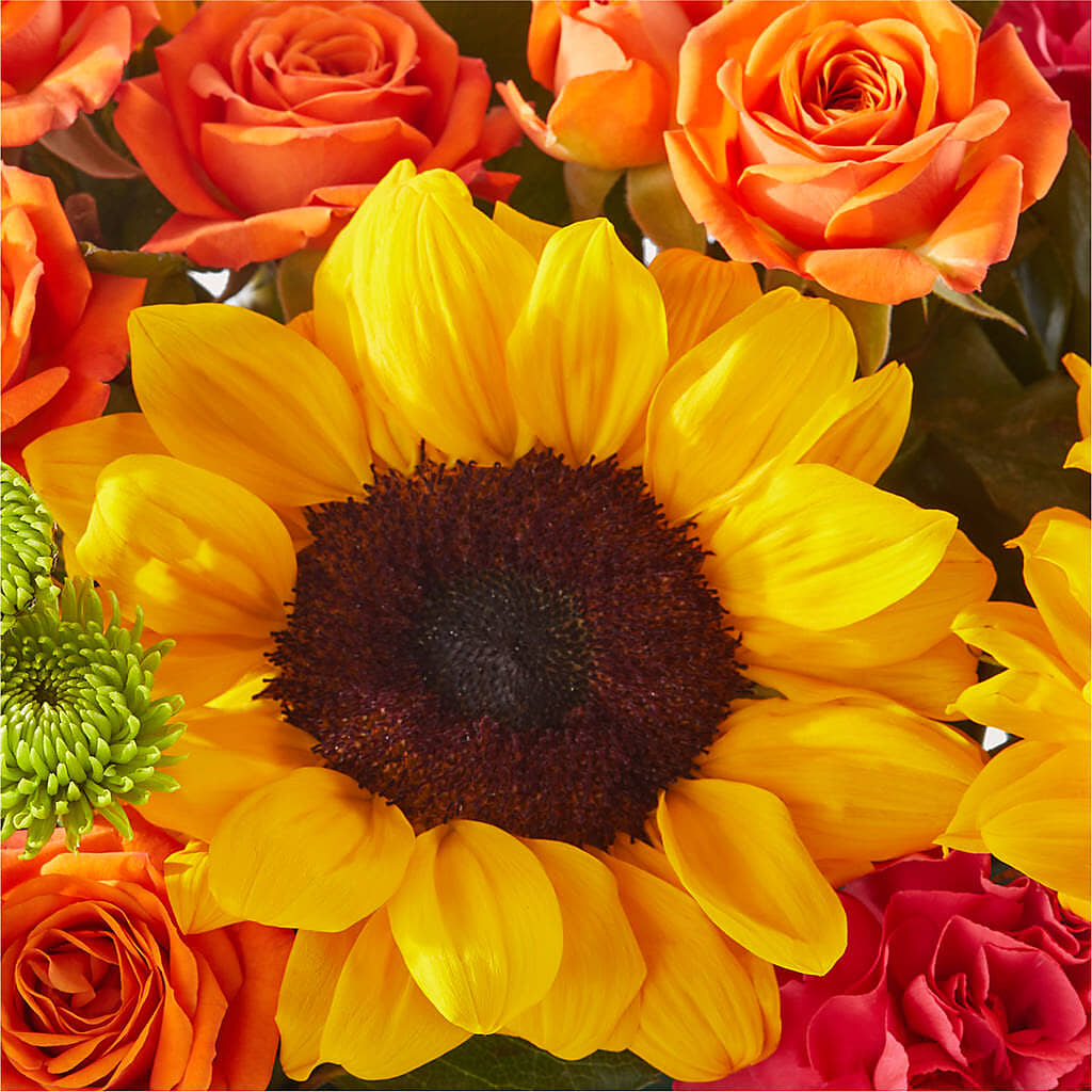 Sun-drenched Blooms Box Bouquet –  Burns Florist, Hanceville AL