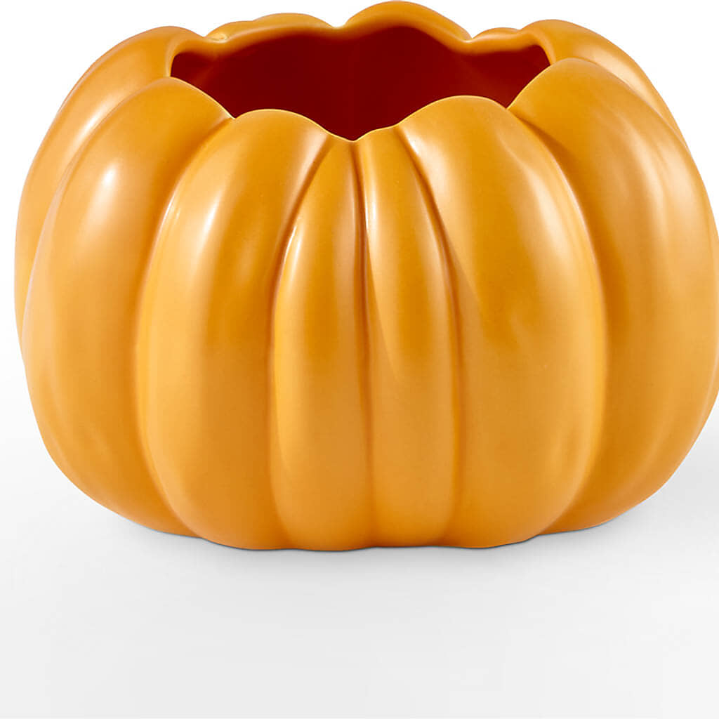 Pick of the Patch Pumpkin Bouquet –  Burns Florist, Hanceville AL