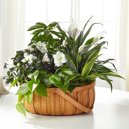 Serene Dishgarden –  Burns Florist, Hanceville AL