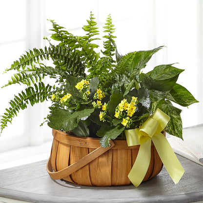 Always Dear Dishgarden –  Burns Florist, Hanceville AL