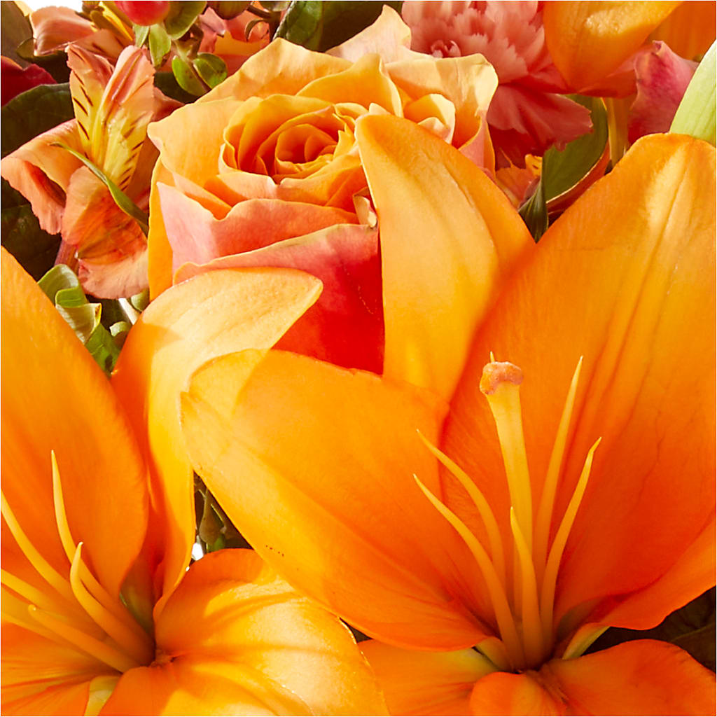 Afternoon Light Bouquet –  Burns Florist, Hanceville AL