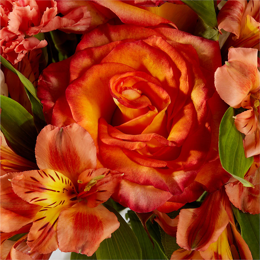 Apricot Glow Bouquet –  Burns Florist, Hanceville AL