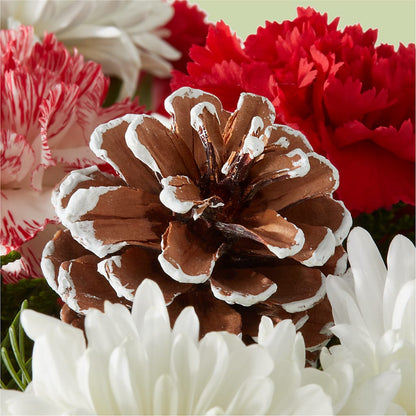 Candy Cane Lane Bouquet –  Burns Florist, Hanceville AL