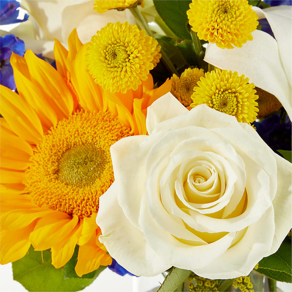 Stargazing Bouquet –  Burns Florist, Hanceville AL