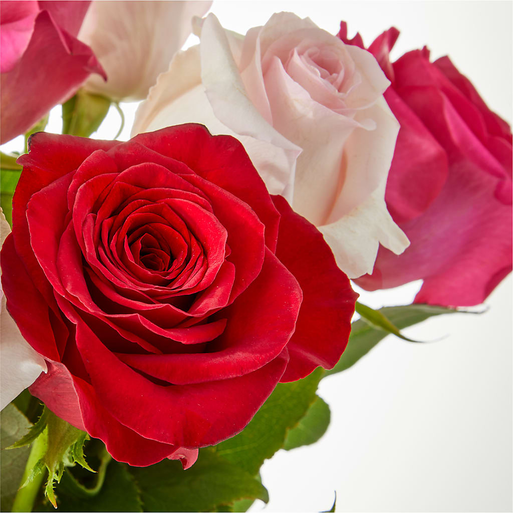 Charming Rose Bouquet –  Burns Florist, Hanceville AL