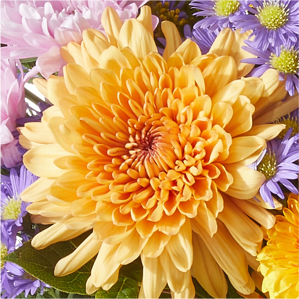 Countryside Bouquet –  Burns Florist, Hanceville AL